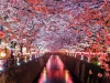 sora sagano 8sOZJ8JF0S8 unsplash optimized