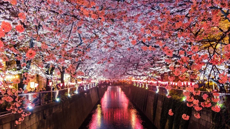 sora sagano 8sOZJ8JF0S8 unsplash optimized